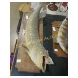 Large 34" dead mounted fish (no fish food needed)