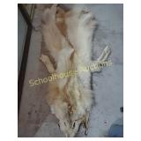 Fur pelt approx length 65"