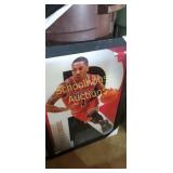 Large picture.  Approx 3 ft by 2 ft