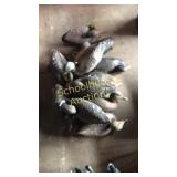 Marvelous mallards
 a handful of helpful hunting