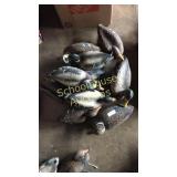 Marvelous mallards
 a handful of helpful hunting