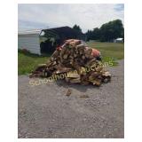 Large pile of fresh cut firewood