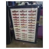 Large picture of kinds of fish