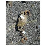 Medium binder about a foot