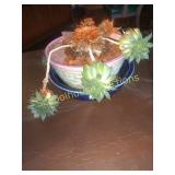 Plant in ceramic bowls fiesta usa one