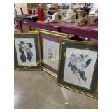 Beautiful matted and framed pictures each