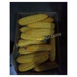 Indiana grown gourmet squirrel corn. Flat with 13