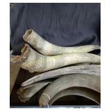 Assorted Horns x4 from 20' to 11'