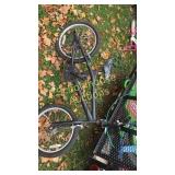 Black next boys bike