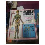 Renewal the visible woman