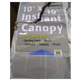 10x10 instant canopy. We did not take out and