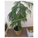 Pine tree
Monticello pickup