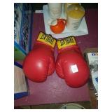 Everlast boxing gloves