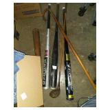 Bats, golf clubs and cane