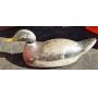 Mason premier decoy