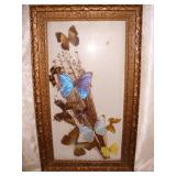 Vtg Butterfly Shadow Box Wall Art