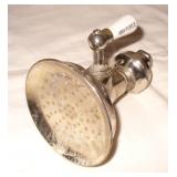 Antique Anyforce Showerhead with Porcelain Handle