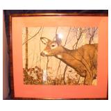 Vtg Doe/Deer  Framed Photo