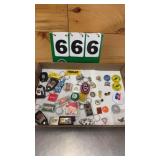 Collectible Pins & Keychains