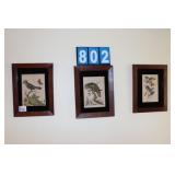 Vintage Prints