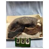 Vintage Fur Wraps Lot #2