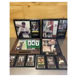 NASCAR & Dale Earnhardt Memorabilia
