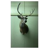 8 Point deer shoulder mount. 8 Point deer shoulder mount.