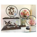 6 BUTTERFLY DISPLAYS