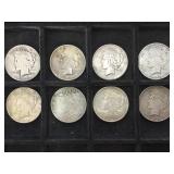 PEACE SILVER DOLLARS, 8 X MONEY