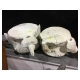 PAIR OF LOWER WHALE VERTEBRAE