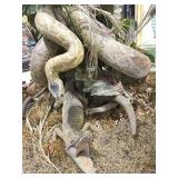 TAXIDERMY SNAKE & BABY ALIGATOR DISPLAY