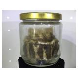 RATTLESNAKE SKIN  IN JAR