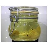 PRESERVED SHRIMP IN JAR