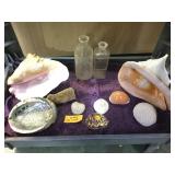 BOTTOM CART, SHELLS, CORAL HELMET SHELL & MORE