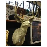 TAXIDERMY BUCK HEAD