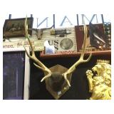 MOUNTED ELK RACK