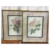 Pair of framed and matted floral prints local