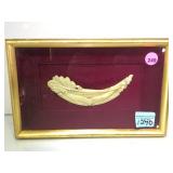 Framed ornate scrimshaw in ivory in shadow box