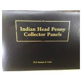 Indian Head Penny  & Stamp Collector Panels