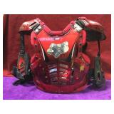 Fox racing chest plate sz kids (L).       
Local