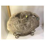 Petrified wood slice , 21 in wide x 2 in thick ,