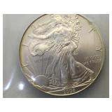 2008 Silver American Eagle