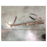 Shaman stick and dream catcher,