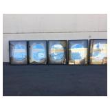 A set of 5 paintings on canvas depicting Airliner