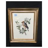 Anne Marie Trechslin Vintage Print -PA11248