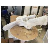 Whale bone, 43x33x12 inches