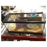 Aquarium with contents