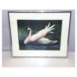 Watercolor Trumpet Swan. Framed to 16x21