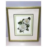 Floral art. Camillia Japonica Taiheiraku. Leslie