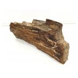 Petrified Wood Specimen. 9.5x5x4.